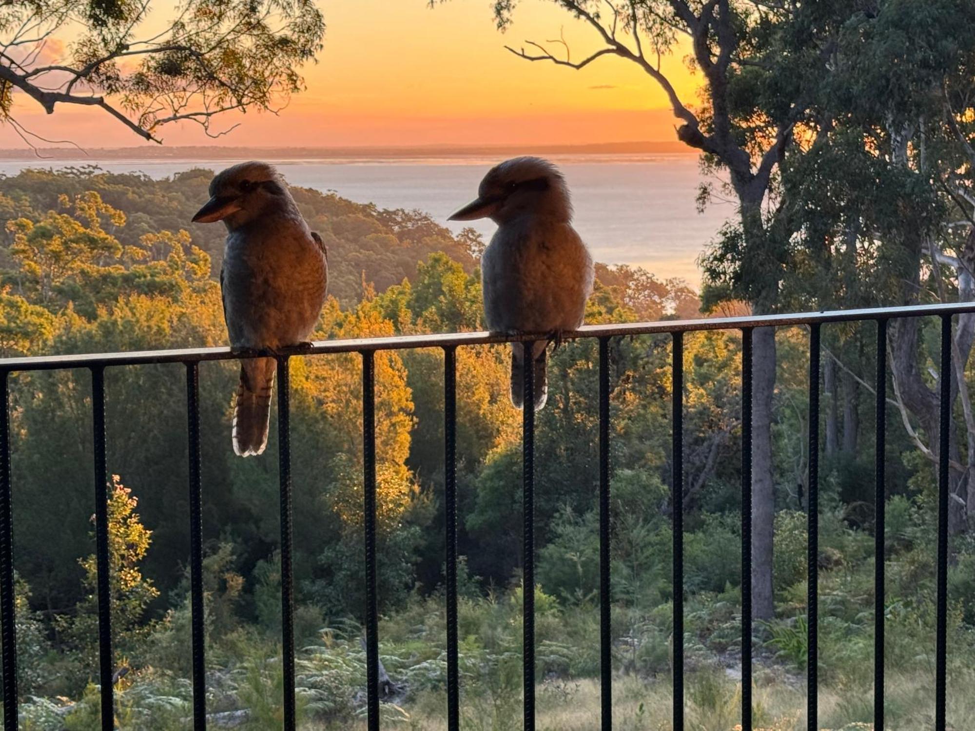Our Beach House Kingfisherbay Fraser Island Esterno foto